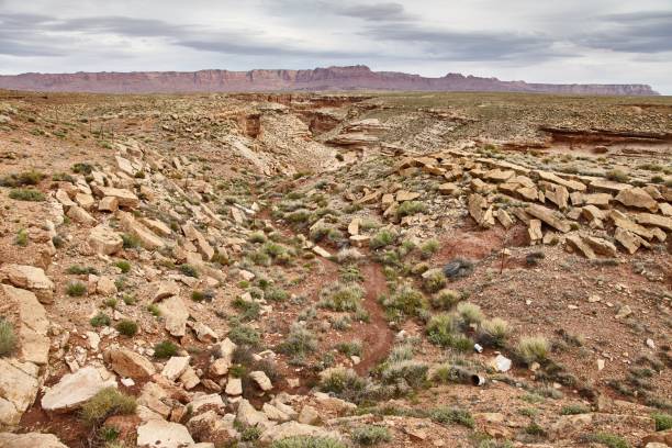 istock Incredibly beautiful landscape in National Park, Utah 669223862