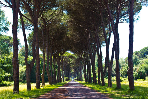 istock a bike ride in the park with trees 669229896