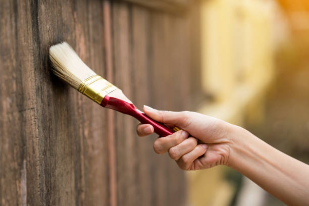 istock Applying protective varnish on a wooden texture 669246390