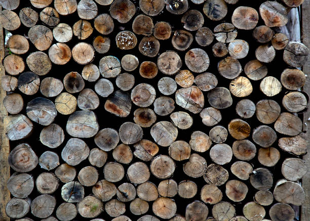 istock Wood texture , stem,circie wood 669247670