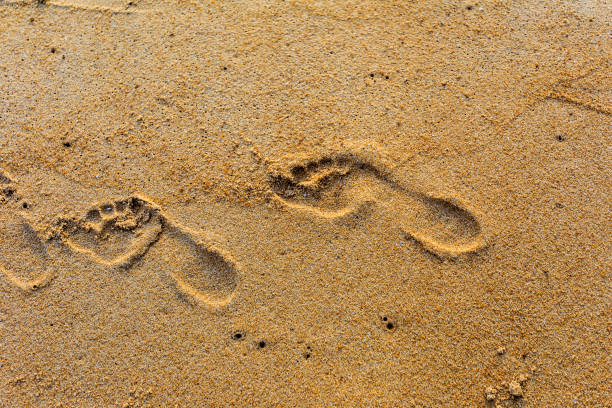 istock Footprint on the beach 669248044