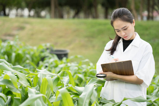 istock Biotechnology woman engineer examining plant leaf for disease 669250584