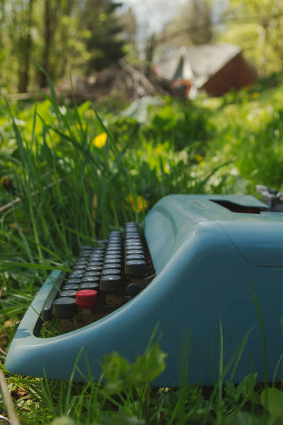 istock vintage blue typewriter on the grass 669254260