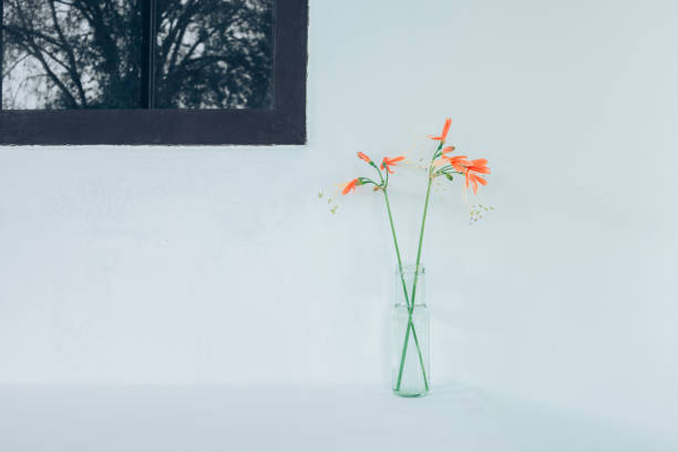istock Flowers on a vase on a white background. 669254378