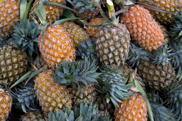 Tropical pineapples , Pineapple background