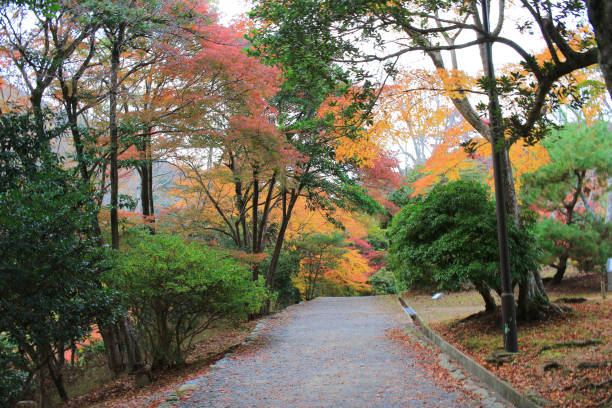 istock Autumn Leaves Of Arashiyama 669263784