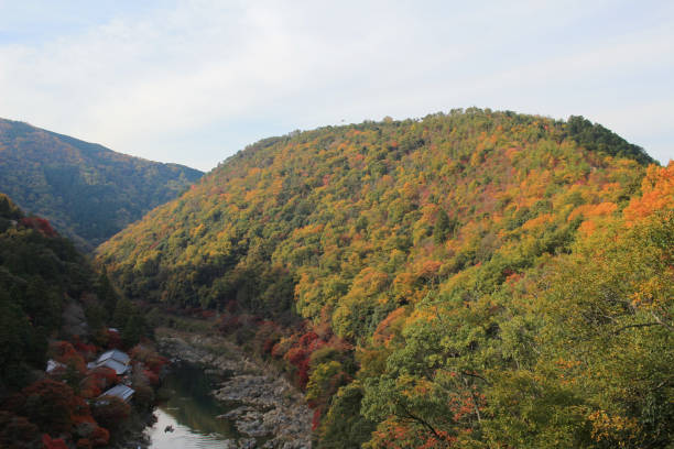 istock Autumn in Arashiyama,Kyoto 669263944