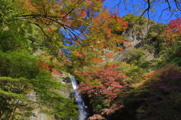 istock Minoh waterfall in autumn, Osaka, Japan 669264124