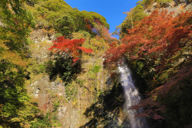 istock Minoh waterfall in autumn, Osaka, Japan 669266812