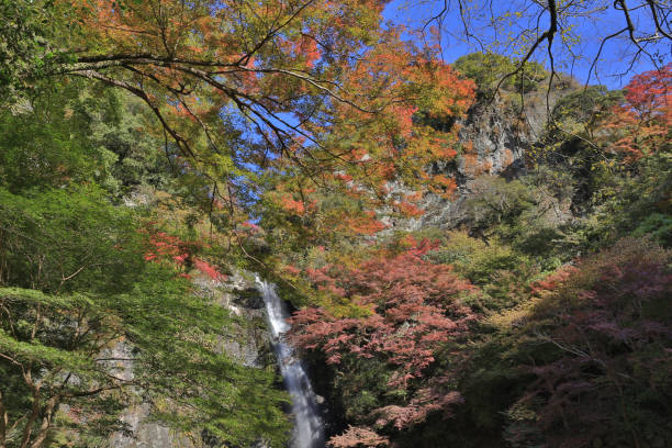 istock A waterfall with Japanese maples in Osaka. 669267482