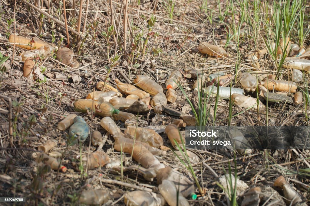 Plastic bags at lake shore Environmental pollution - Plastic bottles and various non biodegradable waste left in nature Bottle Stock Photo