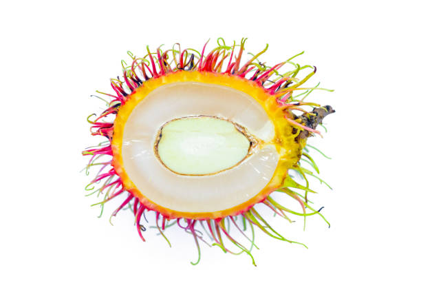 fresh rambutan