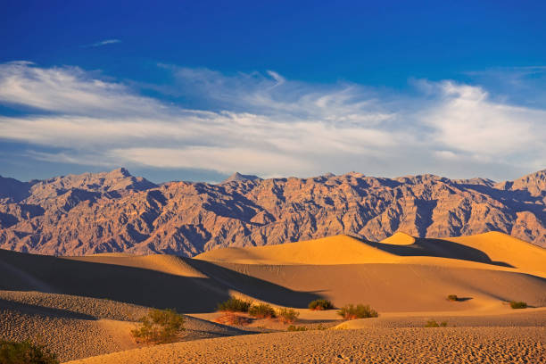 istock Sand dunes near Death Valley 669277488