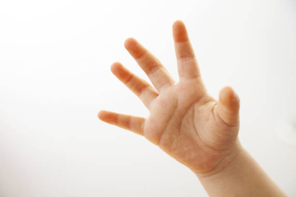 child's hand child's hand 手 stock pictures, royalty-free photos & images