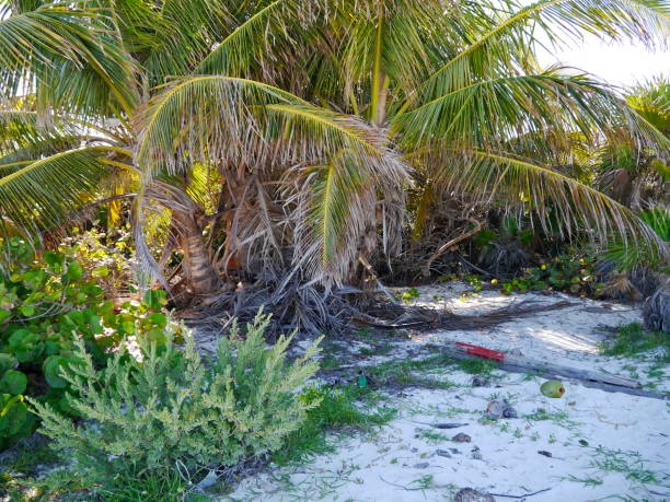 istock Bahia del Espiritu Santo (Beach), Yucatan 669281816