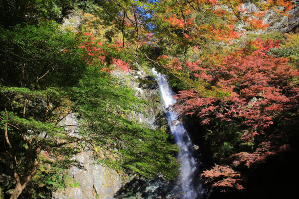 istock Minoh waterfall in autumn, Osaka, Japan 669282008