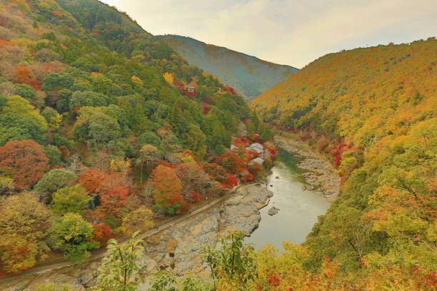 istock Autumn Leaves Of Arashiyama 669285334