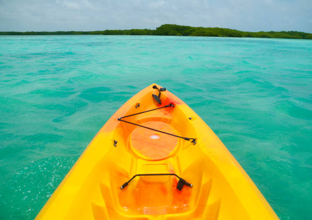 Kayaking in the sea stock photo