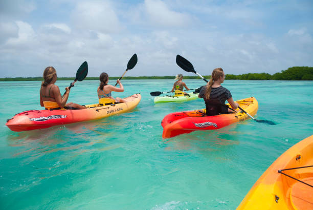 Kayaking in the Caribbean stock photo