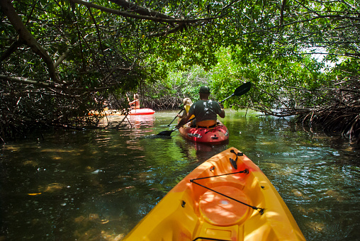 A groep of tourists sets off for a guided kayak tour in the Lac Bai Mangrove Reserve on Bonaire, Caribbean