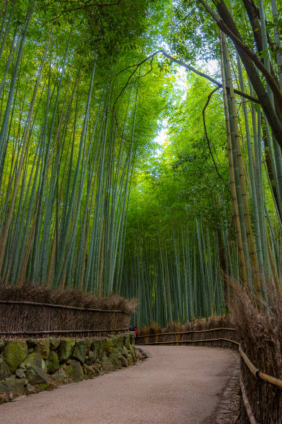 istock Arashiyama in Kyoto, Japan 669302354