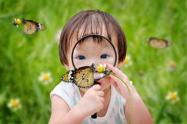 girl using magnifying glass looking insect stock photo