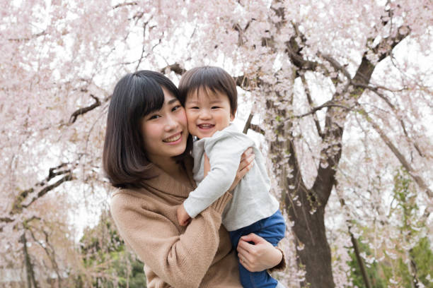 istock Weeping Cherry Blossoms and Family 669306262