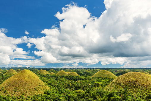 Chocolate Hills, Bohol, Filipinas. photo