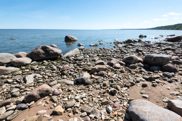 istock Baltic Sea coast in the summer. Estonia. 669329376