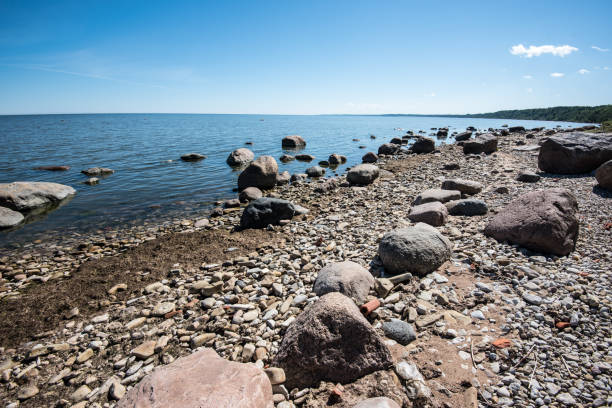 istock Baltic Sea coast in the summer. Estonia. 669329388
