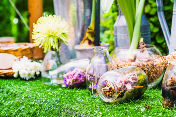 istock Home decoration idea, a terrarium garden scene 669329414