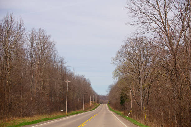 istock Narrow highway in spring landscape 669332524