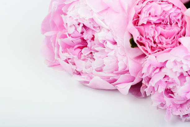 istock Bouquet of pink peonies 669343760