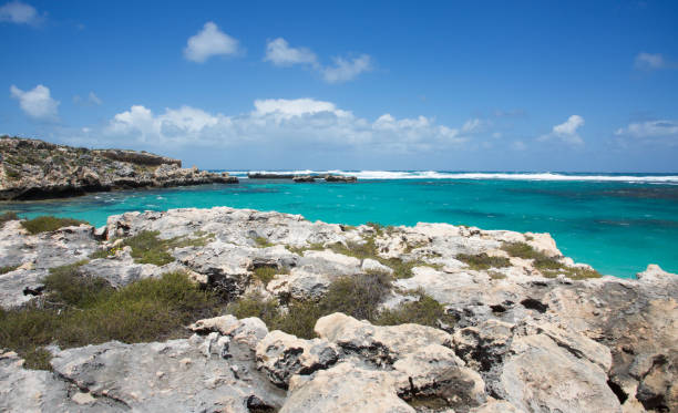 istock Coastal Limestone at Rottnest Island 669346122