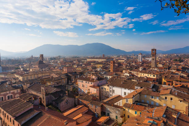 Lucca view from Guinigi Tower. Lucca from Guinigi Tower. Italian landmark. Aerial view of Lucca. lucca italy stock pictures, royalty-free photos & images