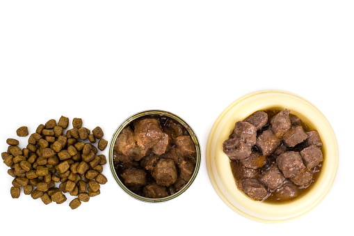 Dog food and cats isolated. Studio Photo