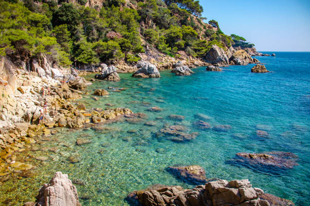istock panoramic view of seashore with rock cliff 669356974