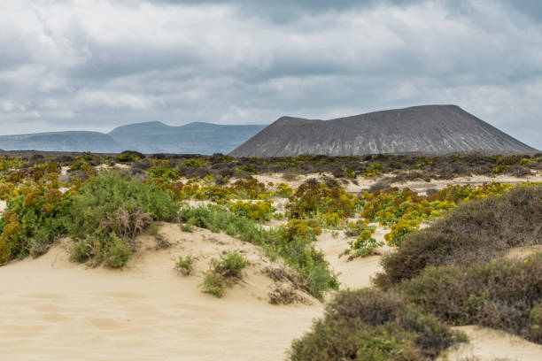 istock Volcano black rock in Canary Islands landscape 669360938