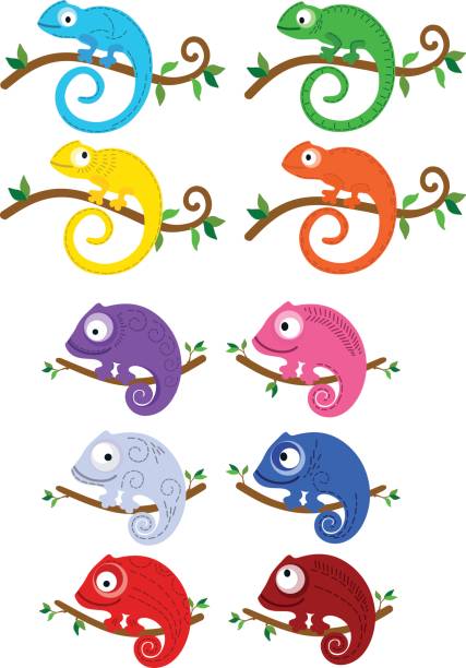 Set of multicolored chameleons on branches. Vector illustration. A collection of vector funny colorful chameleons on branches with leaves. gallus gallus stock illustrations