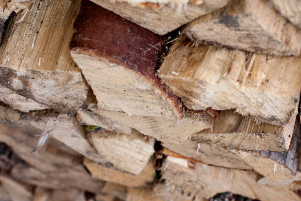 Stacked chopped firewood prepared for winter stock photo