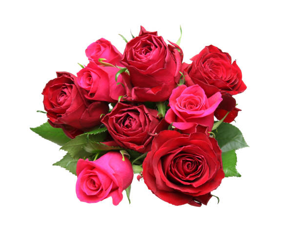 istock Bouquet of rose 669371138