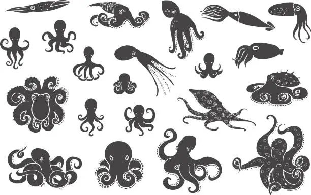 Vector illustration of Hand drawn octopus set. Black silhouettes on white background