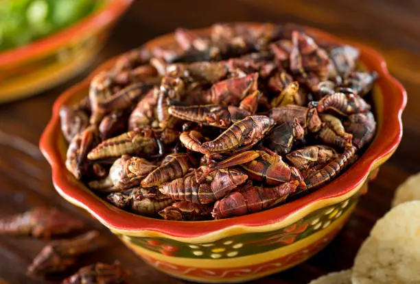 Photo of Chapulines Fried Mexican Grasshoppers