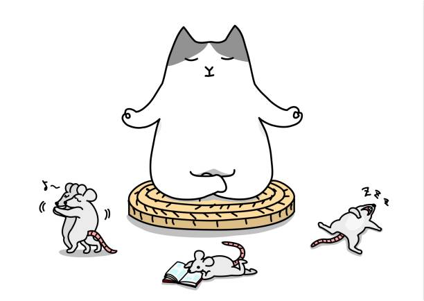 self contorol meditating cat relaxing among rats. patience illustration stock illustrations