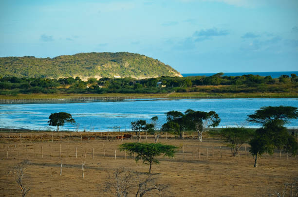 istock A lake with trees and houses 669397078