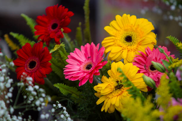 istock Street Market 669403036