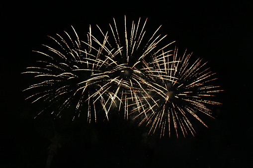 Colorful pattern of a spectacular fireworks in St. Marteen for celebrating New Year's Eve.