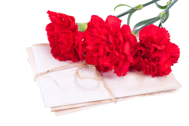 istock A stack of letters connected by a rope along with red carnations. on a white background 669413518