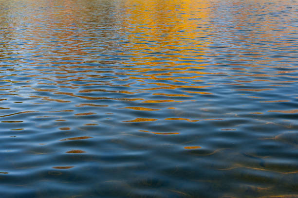 istock texture of rivers water 669413792