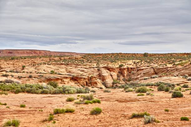istock Incredibly beautiful landscape in National Park, Utah 669418650